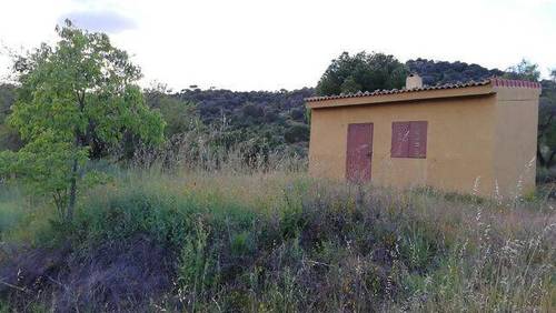 imagen 1 de Venta de finca rústica con caseta en Cebreros