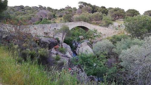 imagen 1 de Venta de finca rústica con caseta en Cebreros
