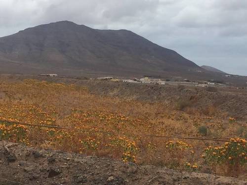imagen 1 de Venta de finca con proyecto en Casillas del Ángel