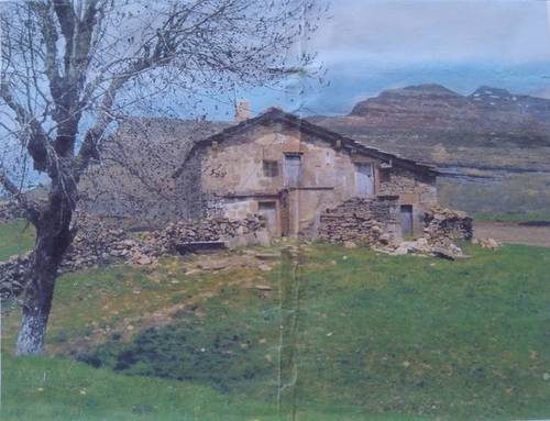 imagen 1 de Venta de finca con casa en Espinosa de los Monteros