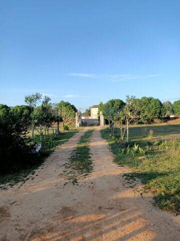 imagen 6 de Venta de finca en Llucmajor