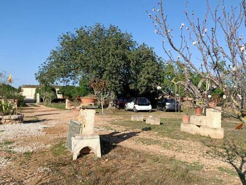 imagen 7 de Venta de finca en Llucmajor