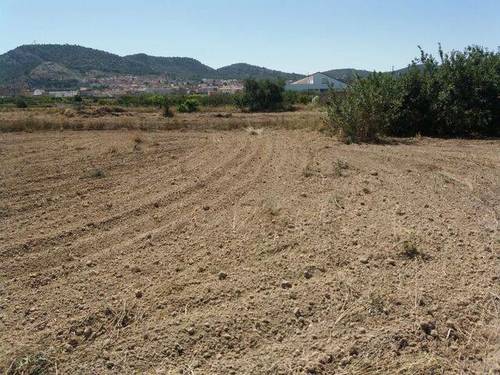 imagen 1 de Venta de parcela rústica en Murcia