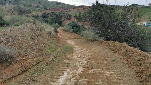 imagen 4 de Venta de finca en Cártama (Málaga)
