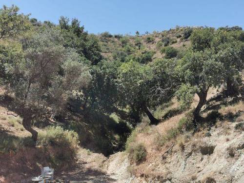 imagen 3 de Venta de finca en Cártama (Málaga)
