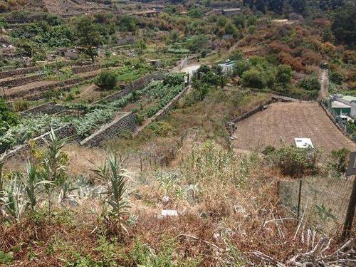 imagen 1 de Venta de finca en Tenerife