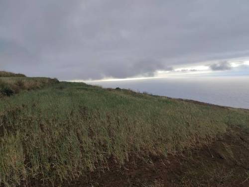 imagen 1 de Venta de finca en Tacoronte (Tenerife)