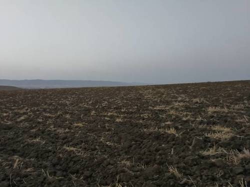 imagen 1 de Venta de finca en Córdoba