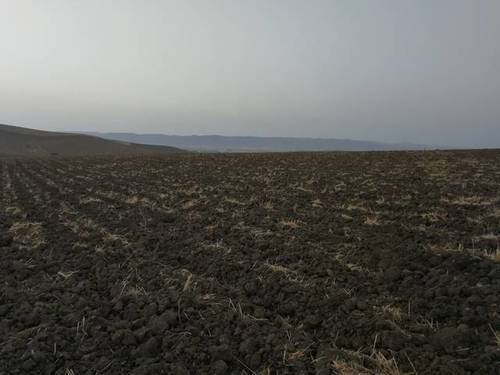 imagen 1 de Venta de finca en Córdoba