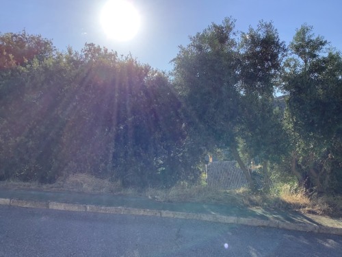 imagen 3 de Solar en Dudar