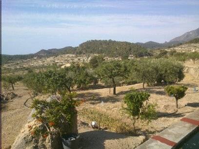 imagen 2 de FINCA MAS CASA A REFORMAR