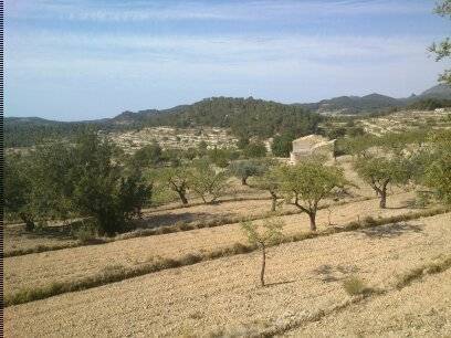 imagen 1 de FINCA MAS CASA A REFORMAR