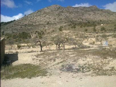 imagen 3 de FINCA MAS CASA A REFORMAR