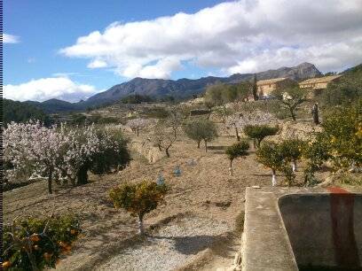 imagen 5 de FINCA MAS CASA A REFORMAR
