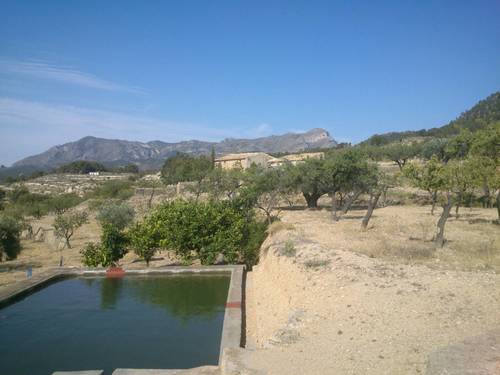 imagen 13 de FINCA MAS CASA A REFORMAR