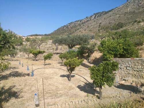imagen 12 de FINCA MAS CASA A REFORMAR