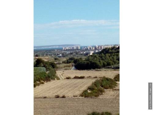 imagen 1 de Guardamar del Segura.