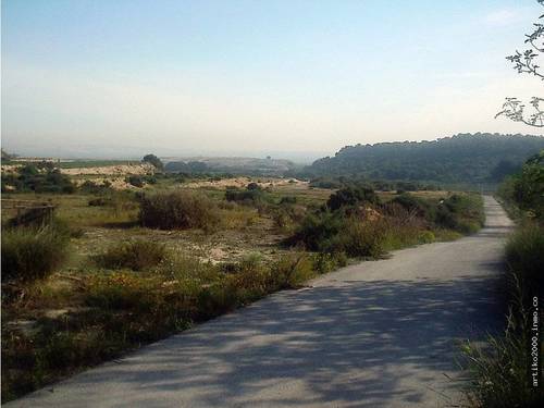 imagen 2 de Guardamar del Segura.
