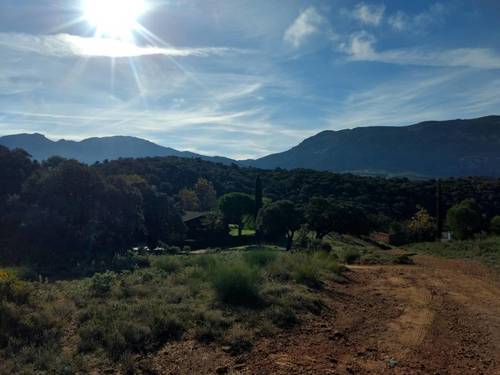 imagen 2 de Cortijo Andaluz y Bungalow en Málaga