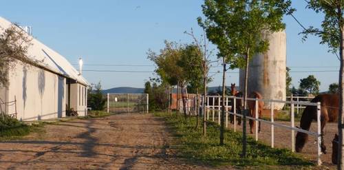 imagen 10 de TERRENO EN VENTA EN CARRETERA TO-3221