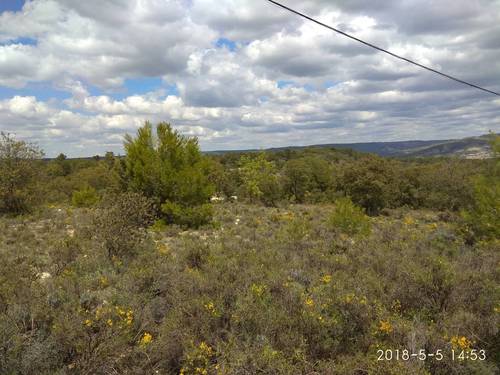 imagen 1 de Venta finca rústica