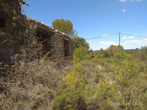 imagen 5 de Venta finca rústica
