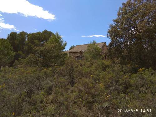 imagen 2 de Venta finca rústica