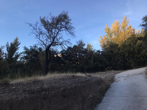 imagen 1 de TERRENO