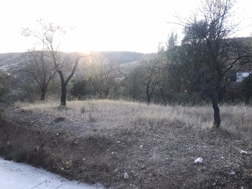 imagen 2 de TERRENO