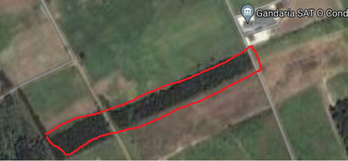 imagen 1 de Fincas con pino plantado