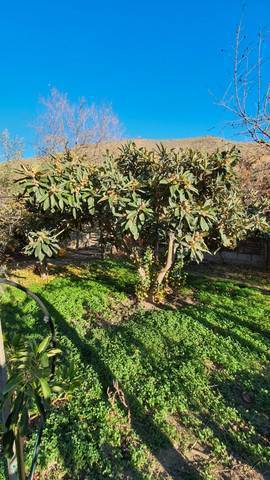 imagen 7 de CHERÍN RÍO - FINCA RÚSTICA CON CORTIJO