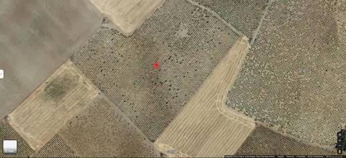 imagen 1 de Finca rustica ecológica en Corral de Almaguer, Toledo (4.21 ha)
