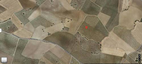 imagen 1 de Finca agrícola ecológica (1.44ha) cultivable en Corral de Almaguer, Toled