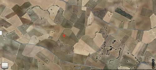 imagen 1 de Finca Rustica. Terreno ecológico arable en provincia de Toledo