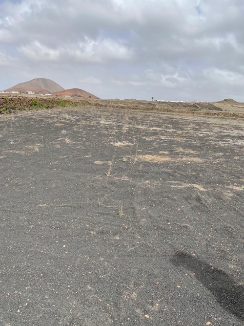 imagen 1 de Vendo finca rustica en tinajo
