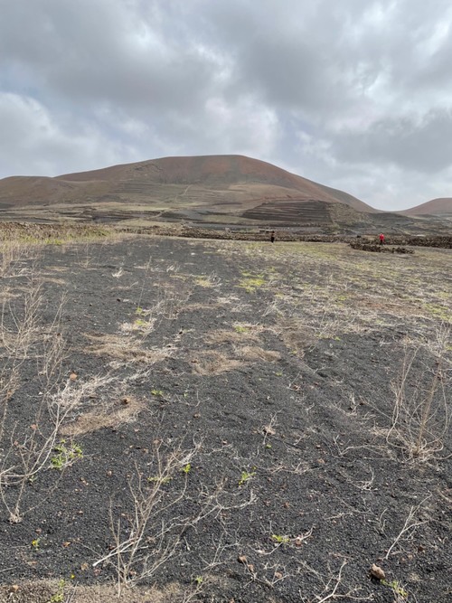 imagen 6 de Vendo finca rustica en tinajo