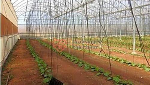 imagen 13 de Invernadero multitúnel de acero galbanizado + Nave 3000m ALMACÉN MANIPULADO Y ENVASADO GENERO + pozo propio y agua de la CUNT en Paraje LA MOLINETA - CAMPILLO DE GATA
