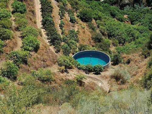 imagen 4 de FINCA RUSTICA EN PLENA PRODUCCION EN PARAJE BARRANCO DE ITRABO (ALMUÑÉCAR)
