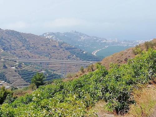 imagen 24 de FINCA RUSTICA EN PLENA PRODUCCION EN PARAJE BARRANCO DE ITRABO (ALMUÑÉCAR)