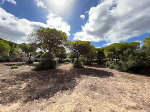 imagen 1 de Finca rústica en La Espartosa (Chiclana)