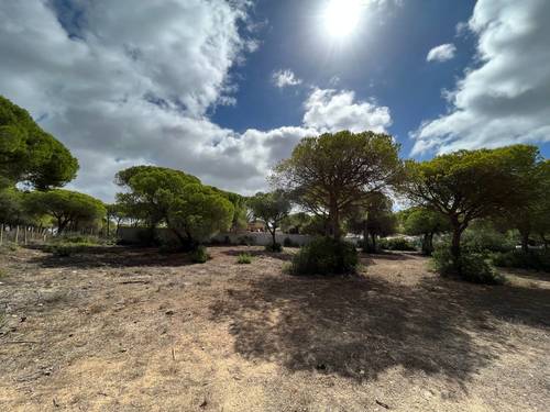 imagen 3 de Finca rústica en La Espartosa (Chiclana)