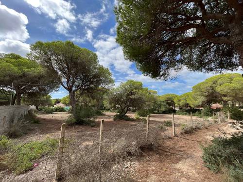 imagen 4 de Finca rústica en La Espartosa (Chiclana)