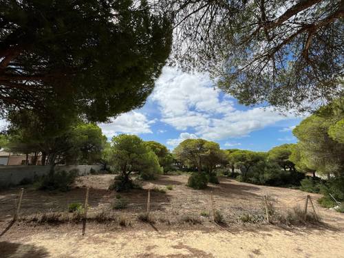 imagen 5 de Finca rústica en La Espartosa (Chiclana)
