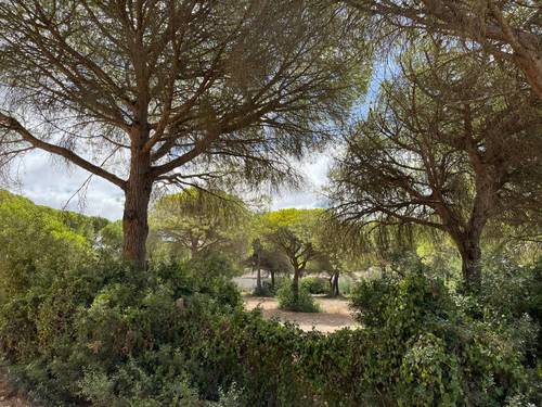 imagen 2 de Finca rústica en La Espartosa (Chiclana)