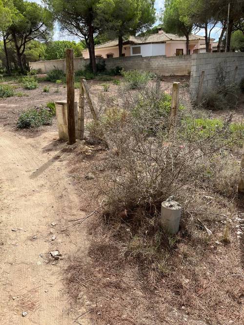 imagen 7 de Finca rústica en La Espartosa (Chiclana)