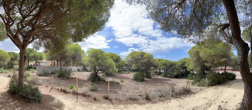 imagen 6 de Finca rústica en La Espartosa (Chiclana)