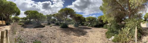 imagen 1 de Finca rústica en La Espartosa (Chiclana)