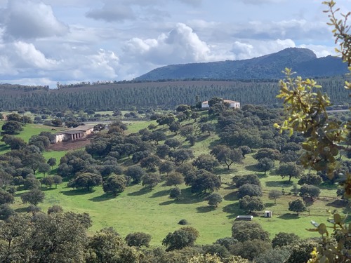 imagen 1 de Finca dehesa en Badajoz con casa y naves para ganadería y recreo