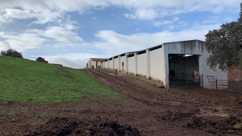 imagen 8 de Finca dehesa en Badajoz con casa y naves para ganadería y recreo