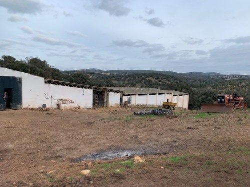 imagen 7 de Finca dehesa en Badajoz con casa y naves para ganadería y recreo